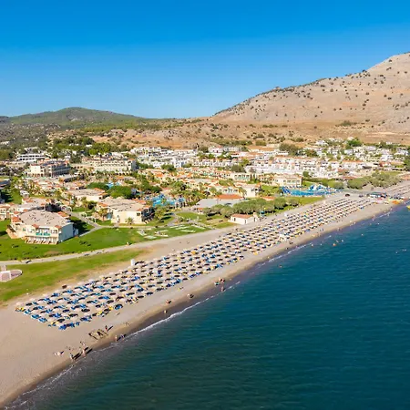 Blue Wave Tria Jenadi
